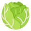  Ethiopian Cabbage