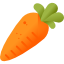  carrots chopped